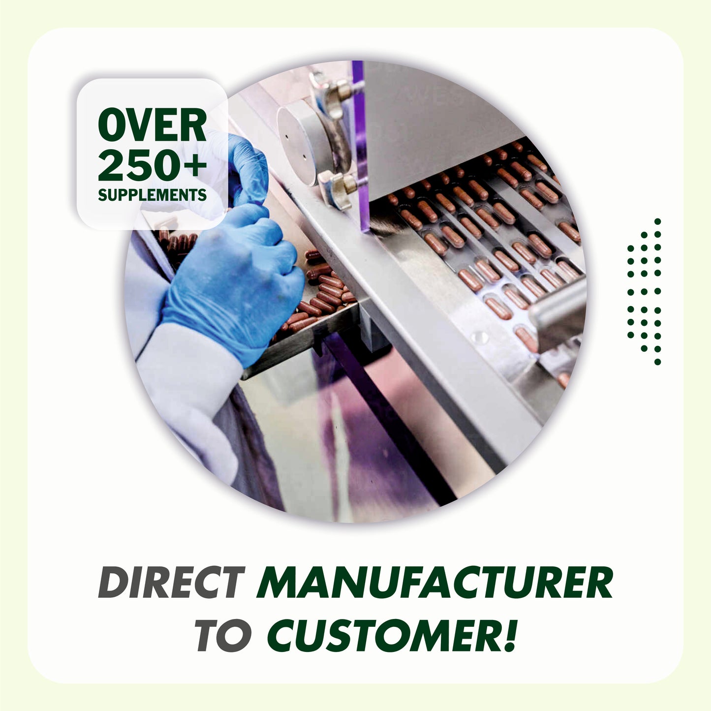 Raskam Cissus Quadrangularis Extract 1000mg - 100 Veg Capsules- Bone & Joint Wellness