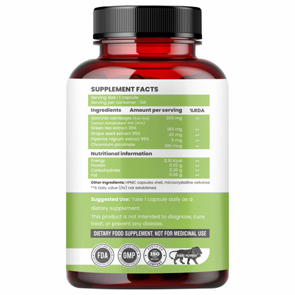 Raskam Fat Burner - 100 Capsules- Weight Loss Supplement with Garcinia Cambogia, Green Coffee Beans Green Tea Extract Metabolism Booster Belly Fat Burner for Men & Women