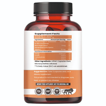 Raskam Curcumin - 100 Capsules- 95% Curcuminoids - Higher Absorption- Antioxidant & Anti-inflammatory Supplement - For Skin, Joint Support, Boosts Immune System