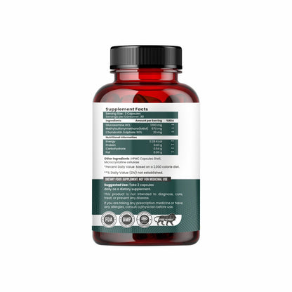 Raskam Glucosamine Chondroitin , MSM for Cartilage; Joint and Bone, 60 Capsules