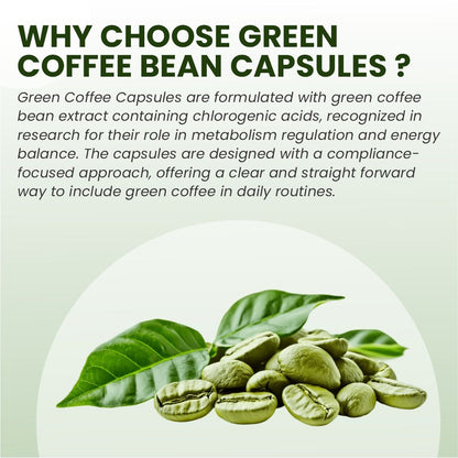 Raskam Green Coffee Bean 800 mg -60 Capsules with 50% CGA- Burns Extra Fat & Boosts Metabolism