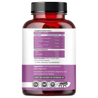 Raskam Milk Thistle Complex | Liver & Gall bladder health supplement | Antioxidant & anti- inflammatory | Liver Detox, Liver refresher | 100 Veg Capsules