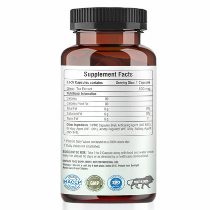 Raskam Green Tea Extract 500mg -60 Capsules with  90% Polyphenols & 45% EGCG- Weight Loss (Fat Burner) & Antioxidant
